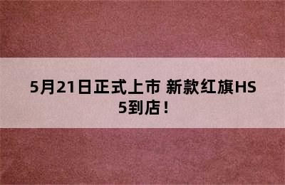 5月21日正式上市 新款红旗HS5到店！